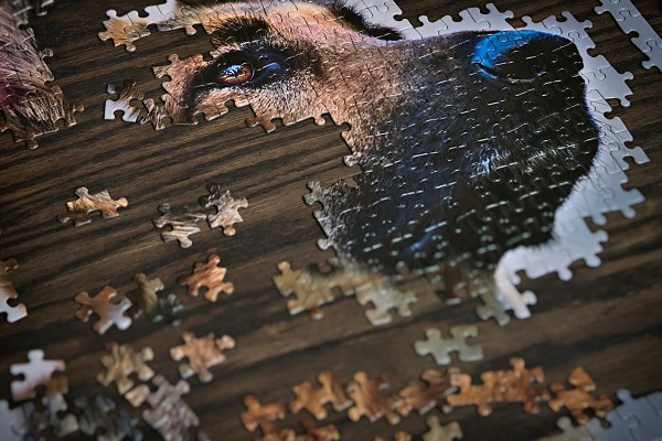 Fotopuzzle jako drek pro blzk